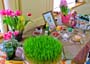 ZAQNowruz2014_Haftseen_6084